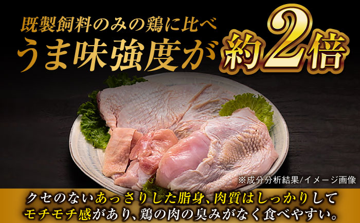 超新鮮 五島地鶏 しまさざなみ1羽分セット 約3kg 五島市/五島さざなみ農園 [PBE001]