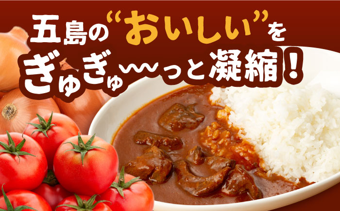 【全12回定期便】【五島牛と五島産の食材を使用したレトルト商品】こだわりの五島ハヤシ10袋セット【出口さんご】 [PBK021]