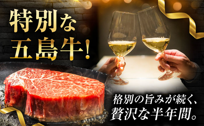 【6回定期便】お届け内容が毎月変わる五島牛定期便（2名向け）五島市/ごとう農業協同組合 [PAF103]