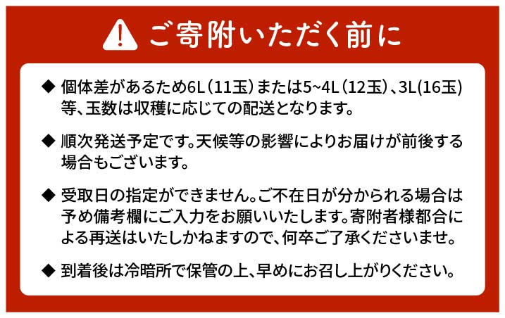 【数量限定】もぎたて！五島のびわ（甘香）化粧箱入 秀品 1kg【ごとう農業協同組合】[PEM002]
