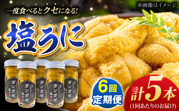 【全6回定期便】厄介うに ガンガゼ塩うに 70g×5本 / ウニ 雲丹 五島市 / うた丸 [PGA007]