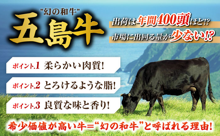 五島牛肉めしの素 4個 牛丼 牛丼の具 肉飯 牛肉 五島市/株式会社 Factory [PFN010]