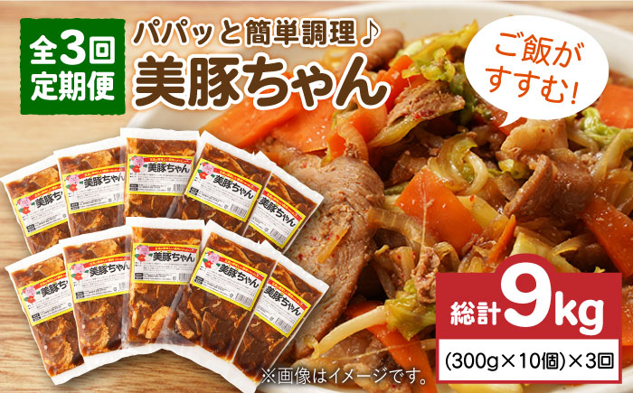 【3回定期便】美豚ちゃん300g×10個 五島市/長崎フードサービス[PEL014]  簡単 調理 豚肉 豚 レトルト パック 小分け 国産 焼肉 加工 肉 レトルト 簡単 おかず