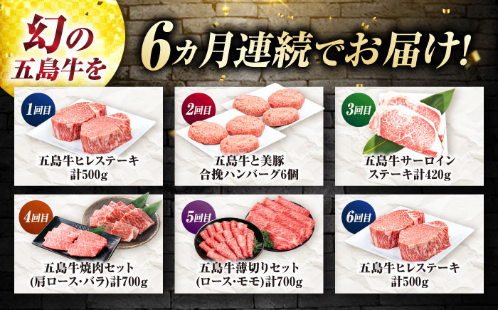 【6回定期便】お届け内容が毎月変わる五島牛定期便（2名向け）五島市/ごとう農業協同組合 [PAF103]