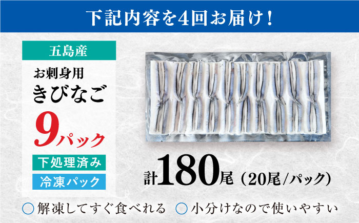 【4回定期便】五島産 刺身用きびなご 20尾×9P 五島市/鯛福丸水産 [PDP016]