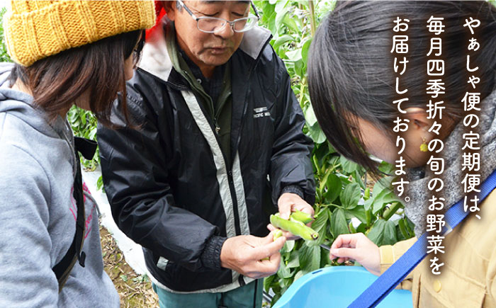 【全12回定期便】旬の野菜セット（7-10品目10kg未満）野菜 やさい 詰め合わせ セット五島市/やぁしゃ便 [PBG001]