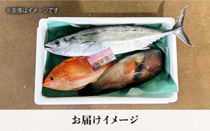 五島列島直送！朝獲れ鮮魚セット4kg　鯛福丸水産/五島市 [PDP011]