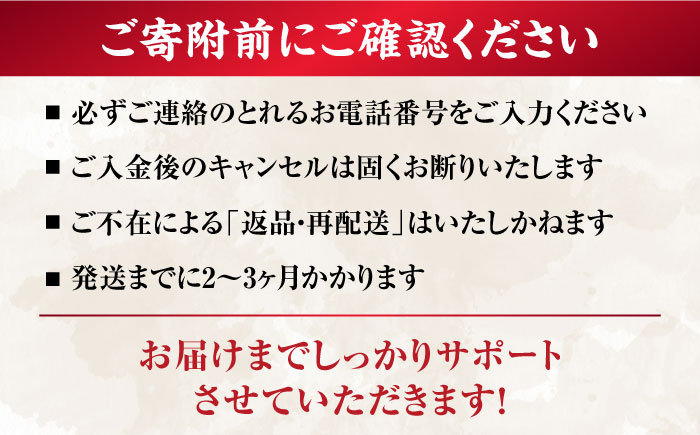 五島牛 一頭分 牛肉 国産 和牛 大容量 五島市 / ごとう農業協同組合 [PAF033]