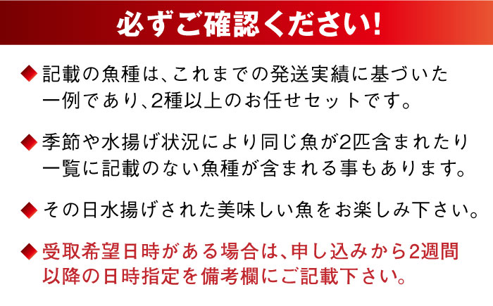 【五島列島直送】朝獲れ鮮魚セット2kg 五島市/鯛福丸水産[PDP008]  鮮魚 セット 冷蔵 魚 海鮮 直送 さかな 詰合せ