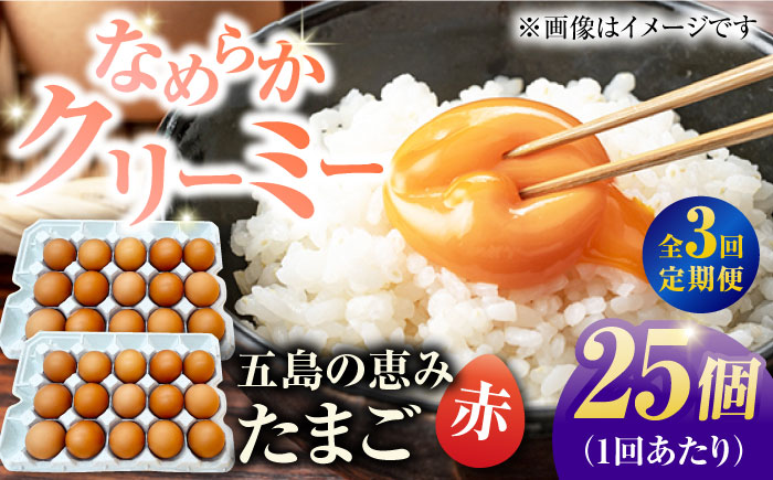 【3回定期便】【お得な箱入り】五島の恵みたまご M〜Lサイズ 25個入 / 卵 赤玉子 五島市 / 五島列島大石養鶏場 [PFQ045]