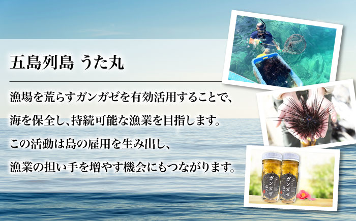 厄介うに ガンガゼ塩うに 70g×5本 / ウニ 雲丹 五島市 / うた丸 [PGA002]