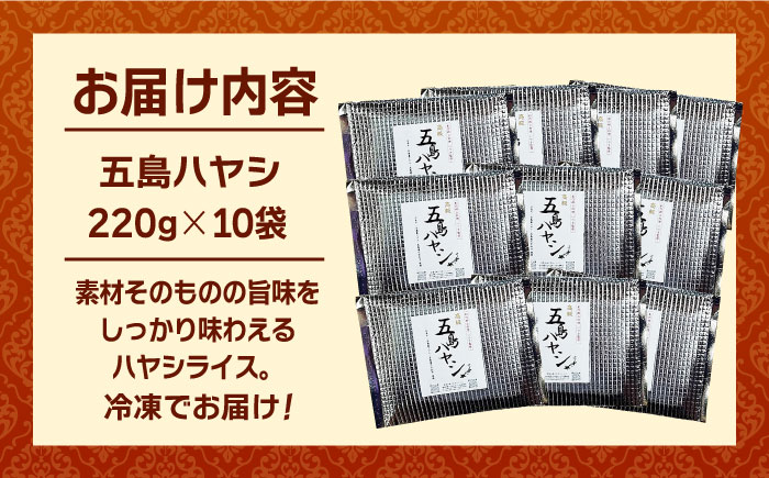 【五島牛と五島産の食材を使用したレトルト商品】こだわりの五島ハヤシ10袋セット【出口さんご】 [PBK018]