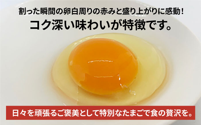 【黄身がつかめる！ブランド卵】TOCO-tori EGG おうち贅沢ボックス 卵 20個入 高級卵 たまご 五島市 / 五島列島大石養鶏場 [PFQ002]