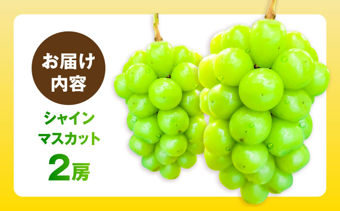 シャインマスカット 2房 五島市/HPIファーム [PCP017]