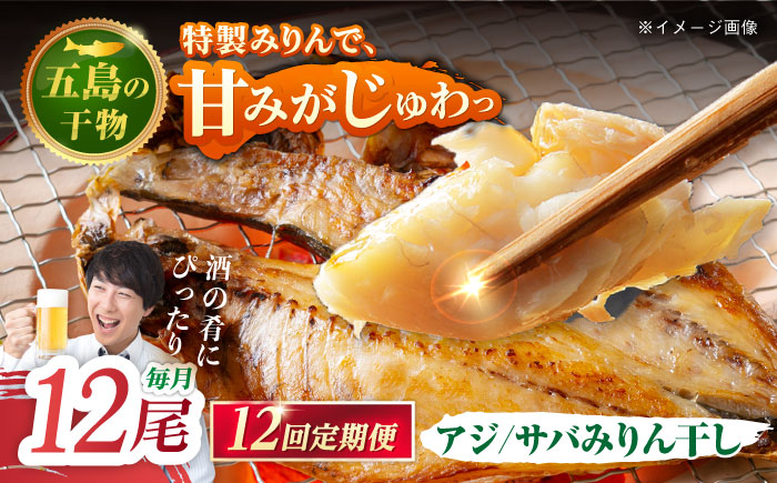 【12回定期便】【L】一夜干し みりん干し（アジ/サバ）計12尾 五島市/愛情食彩[PCH032]
