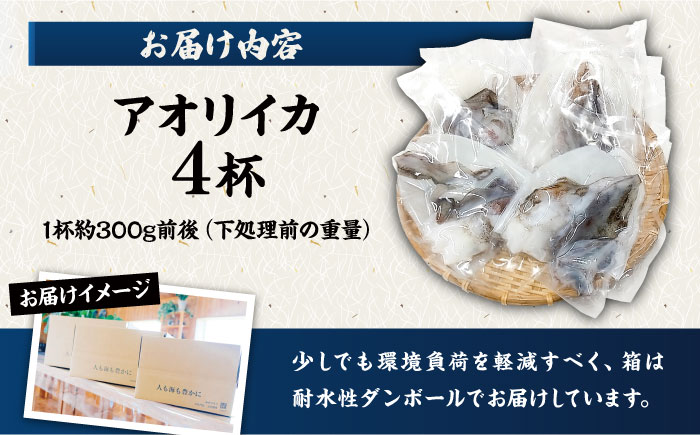 【イカの王様】アオリイカ 300g前後×4杯 肉厚 甘い 冷凍 刺身 五島市/金沢鮮魚 [PEP005] 