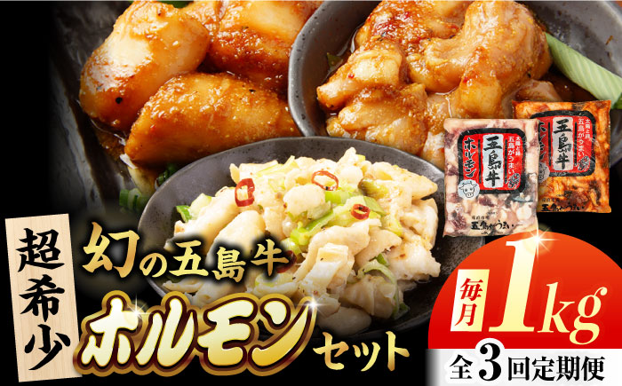 【3回定期便】幻の五島牛ホルモン 1kg 味付け有り・無しセット 五島市/ごとう農業協同組合 [PAF094]