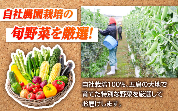 【4回定期便】　旬野菜セット7〜10品目（五島列島産）5kg未満　五島市/やぁしゃ便 [PBG009]