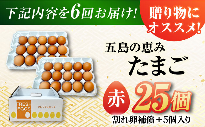 【6回定期便】【お得な箱入り】五島の恵みたまご M〜Lサイズ 25個入 / 卵 赤玉子 五島市 / 五島列島大石養鶏場 [PFQ046]