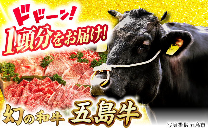 五島牛 一頭分 五島市/ごとう農業協同組合[PAF033]