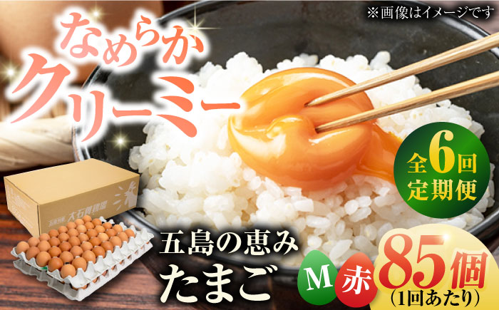 【全6回定期便】【お得な箱入り】五島の恵みたまご Mサイズ 85個入 / 卵 赤玉子 五島市 / 五島列島大石養鶏場 [PFQ015]