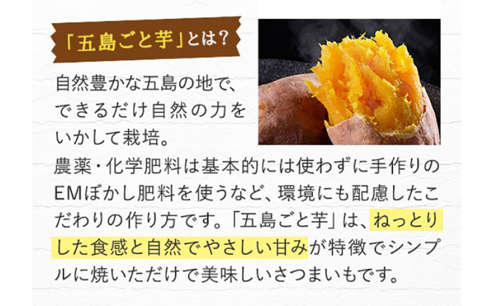 おはようのスープ5袋（芋ポタージュ）＆おやすみのスープ5袋（トマトポタージュ） 五島市/ごと[PBY015]  さつまいも トマト レトルト 野菜スープ 五島市