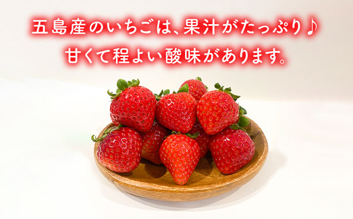 【濃厚で甘酸っぱいいちごの香りがたまらない】五島産いちごアイス ２０個入 五島市/野原農園 [PCM001]