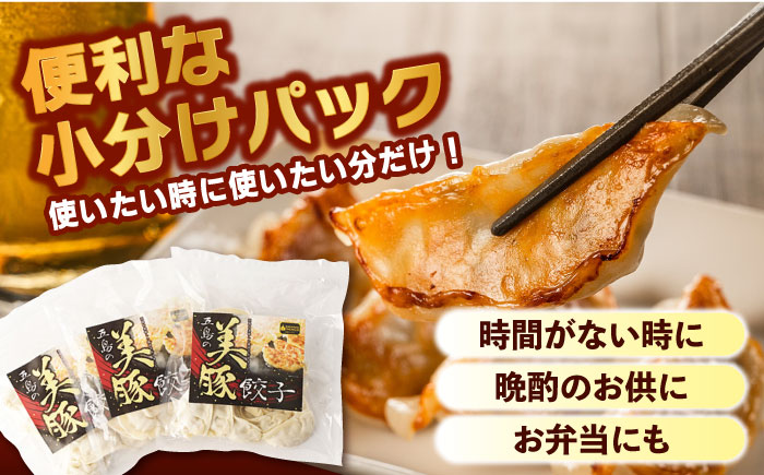 【12回定期便】美豚餃子150個（15個×10袋） 五島市/長崎フードサービス[PEL024]  冷凍 餃子 中華 ぎょうざ ギョウザ