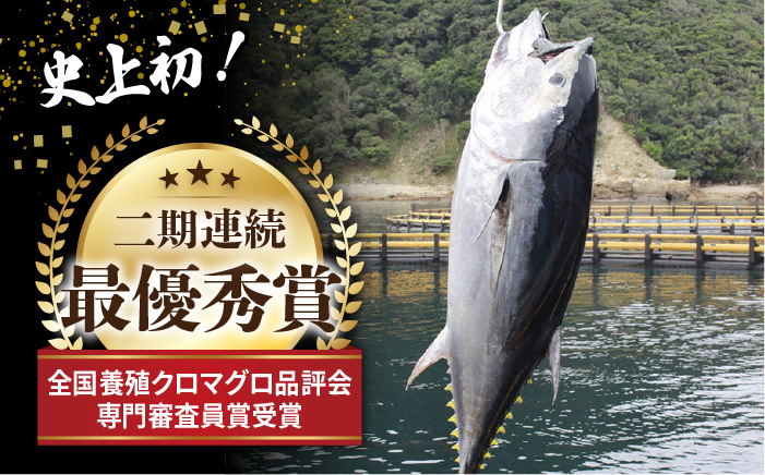 海のダイヤ！近大マグロそのまま1本お届け】長崎県五島産近大マグロ