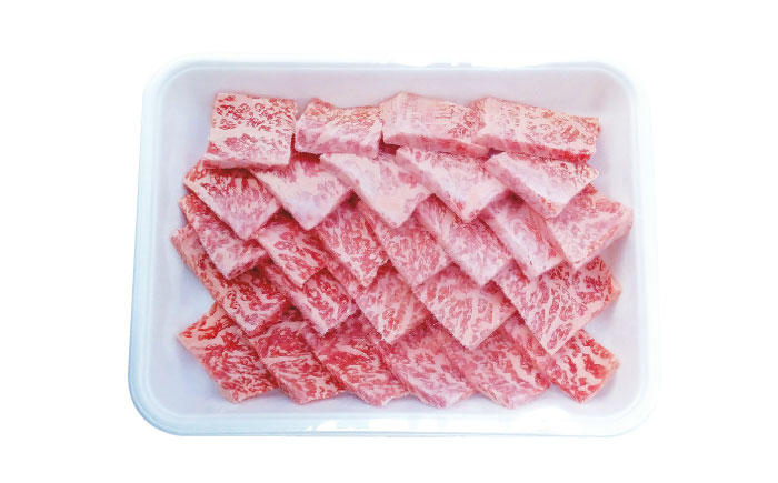 【全6回定期便】五島列島産 黒毛和牛 焼肉用 肩ロース 500g 五島市/山口Farm [PGJ007]