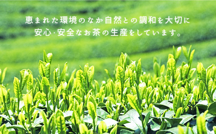 五島茶（290ml×24本入） 緑茶 ボトル 五島市/ごとう農業協同組合 [PAF017]
