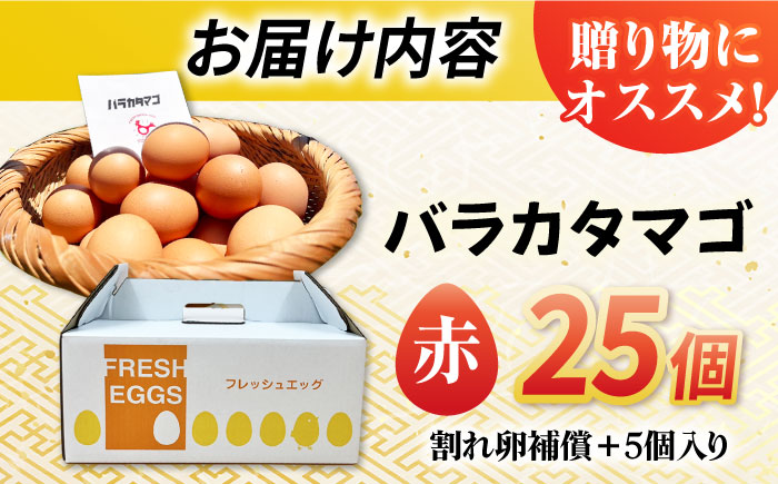 【お得な箱入り】バラカタマゴ 25個入 M〜Lサイズ 卵 玉子 たまご 国産 五島市 / 五島列島大石養鶏場 [PFQ052]