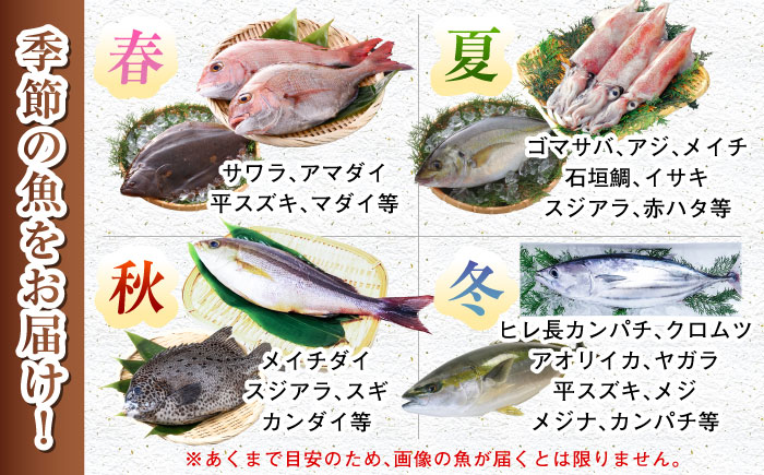 【五島列島直送】朝獲れ高級鮮魚セット4kg 五島市 / 鯛福丸水産[PDP003]  魚 鮮魚 セット 海鮮 直送 さかな 詰合せ 冷蔵