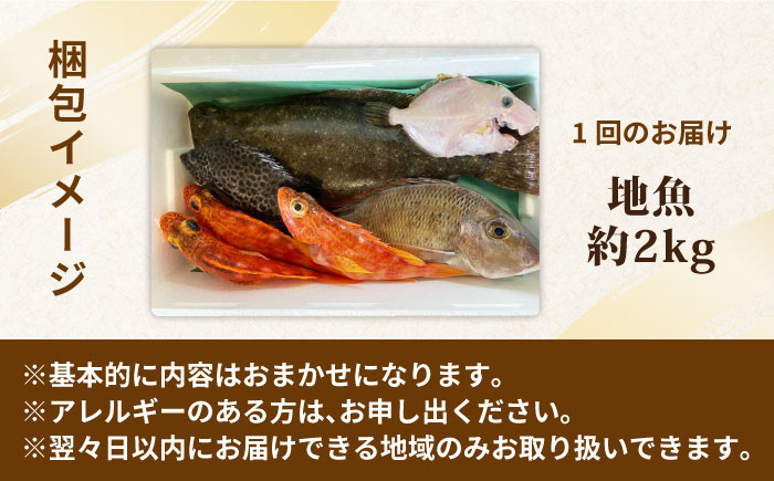 全4回定期便】旬の地魚セット2kg（エラ/内臓処理済） 五島市/五島FF