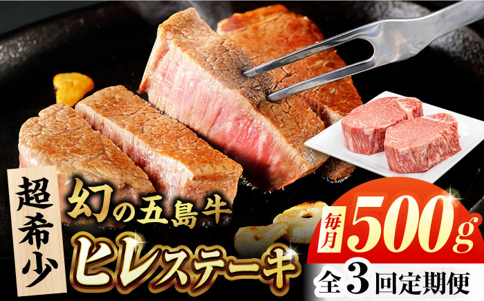 【3回定期便】五島牛 ヒレ 250g×2枚 五島市/ごとう農業協同組合 [PAF097]