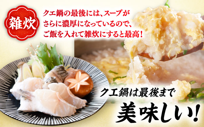 【3回定期便】クエ鍋用クエパック500g×2 五島市/金沢鮮魚[PEP050]クエ くえ 鍋 お鍋 冬 高級 贅沢