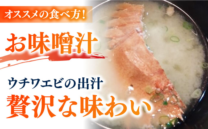 【2026年先行予約】うちわえび約500g（3-9尾） 五島市/五島FF[PBJ011] 希少 ウチワエビ うちわエビ 海老 えび 旬 新鮮 海鮮
