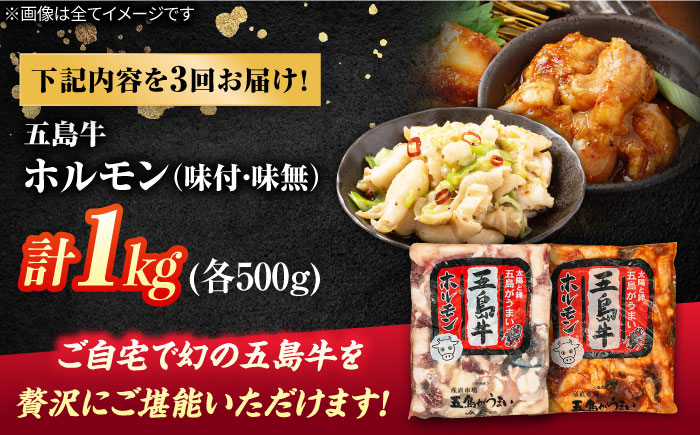 【3回定期便】幻の五島牛ホルモン 1kg 味付け有り・無しセット 五島市/ごとう農業協同組合 [PAF094]