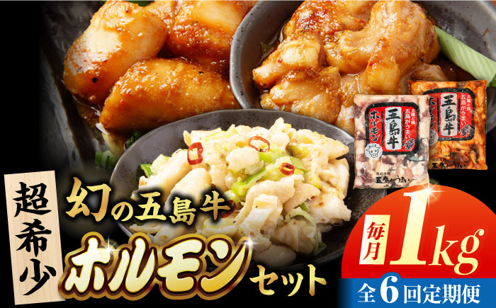 【6回定期便】幻の五島牛ホルモン 1kg 味付け有り・無しセット 五島市/ごとう農業協同組合 [PAF095]