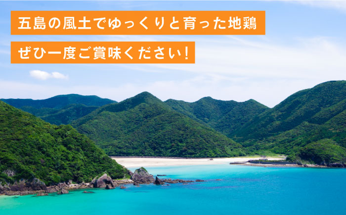 【島の環境が生み出す鶏肉】うま味凝縮！五島地鶏しまさざなみ鍋セット （2人前）  地鶏 鶏肉  鍋 五島市 / 五島さざなみ農園 [PBE005]