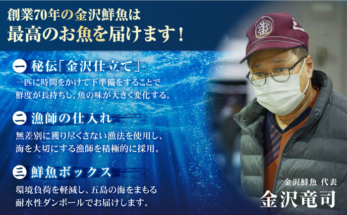 【冷蔵】【下処理済】鮮魚ボックス（魚2種/アオリイカ/魚醤油1種） 五島市/金沢鮮魚[PEP002]  冷蔵 真空パック 新鮮 下処理済み 海鮮 刺身 セット 水いか金澤仕立て  鮮魚 冷蔵 真空パック 新鮮 下処理済み 海鮮 刺身 セット 水いか