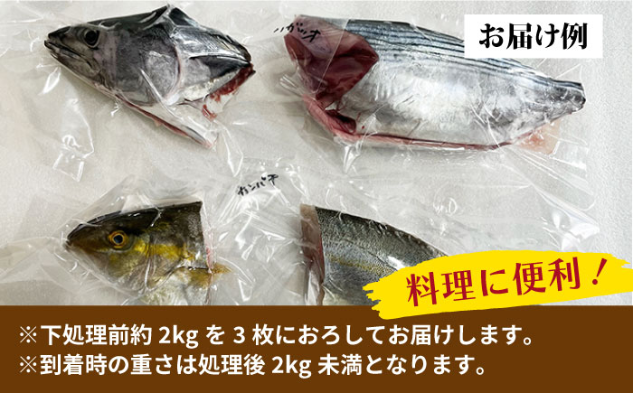 【全4回定期便】旬の地魚セット（3枚卸し）2〜3人前 真空パック 魚介 刺身 五島市 / 五島FF [PBJ001]