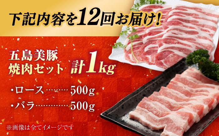 【12回定期便】五島美豚焼肉1kg（ロース500g バラ500g） 五島市/ごとう農業協同組合[PAF015] 