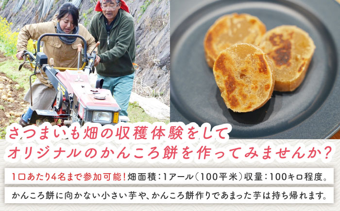 サツマイモ畑のオーナーになってオリジナルかんころ餅つくり体験　五島市/株式会社五島のやぁしゃ便 かんころもち 農業体験 体験 [PBG007]