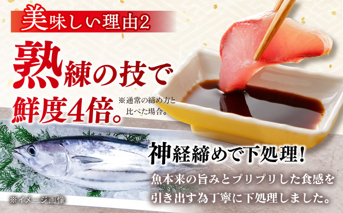 【五島列島直送】朝獲れ鮮魚セット2kg 五島市/鯛福丸水産[PDP008]  鮮魚 セット 冷蔵 魚 海鮮 直送 さかな 詰合せ