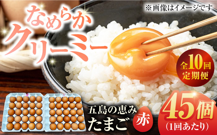 【全10回定期便】【お得な箱入り】五島の恵みたまご M〜Lサイズ 45個入 / 卵 赤玉子 五島市 / 五島列島大石養鶏場 [PFQ050]