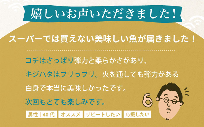 【全4回定期便】旬の地魚セット（3枚卸し）2〜3人前 真空パック 魚介 刺身 五島市 / 五島FF [PBJ001]