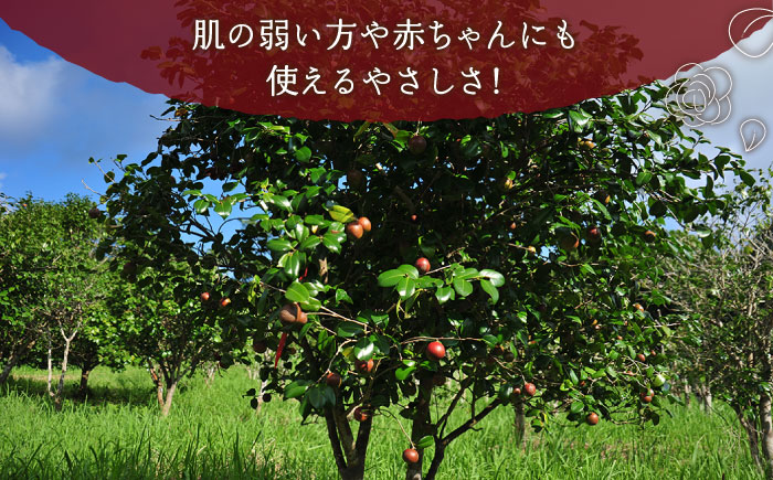 【6回定期便】【べたつかない、高保湿】雫 椿オイル 3本（ナチュラル） 五島市/椿乃[PAM021] 顔 髪 手足 保湿オイル