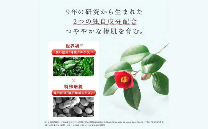 【リボン付き】椿酵母せっけん 60g 美容 スキンケア 洗顔 五島市／五島の椿 [PEG040]