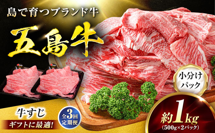 【3回定期便】五島牛 牛すじ1kg（500g×2P）五島市/meat shop FUKU [PHF006]